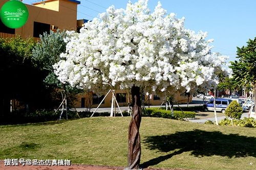 仿真樹是園林景觀中的 明星產品